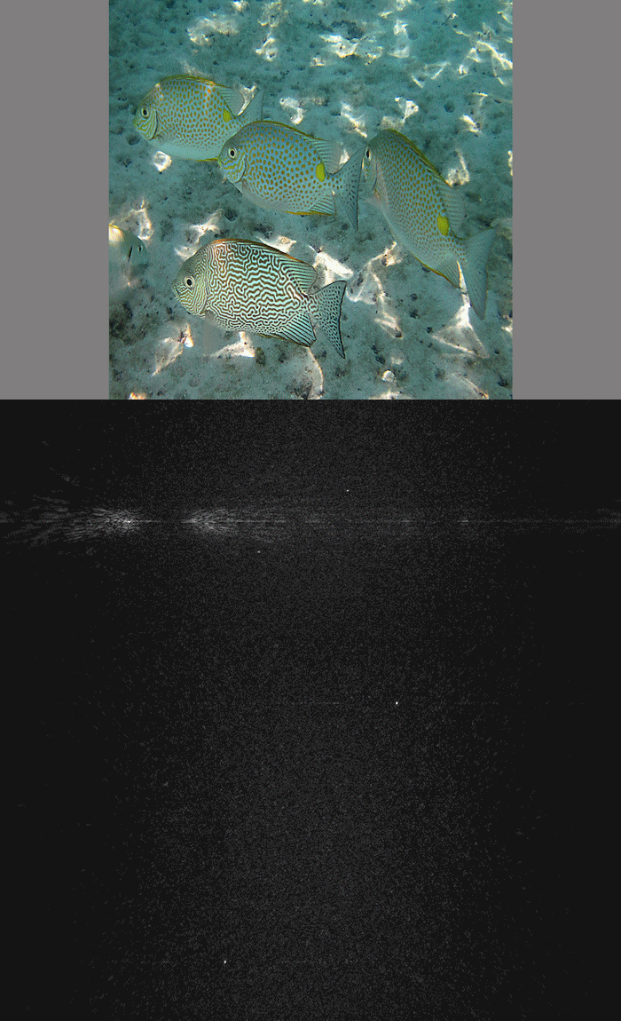 122_frame_sequence_half_second_per_frame
