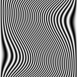 rotating warp vector
              and fringe pattern