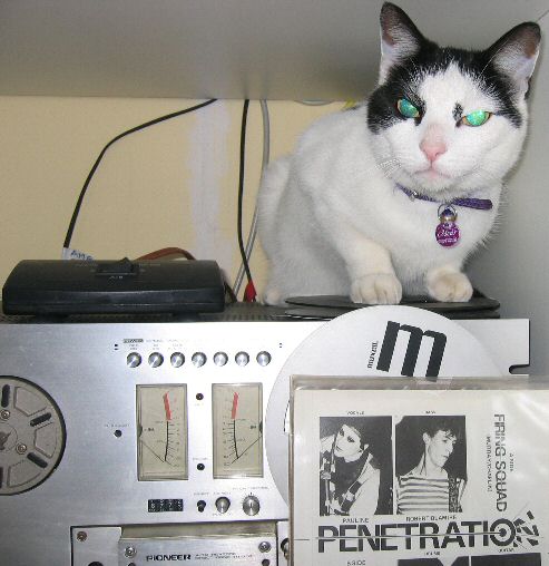 Oscar surveys the Pioneer RT 707